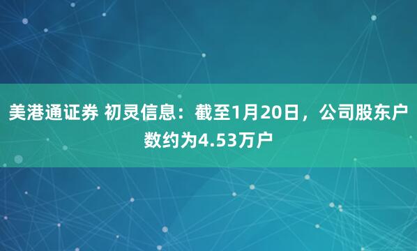 美港通证券 初灵信息：截至1月20日，公司股东户数约为4.53万户